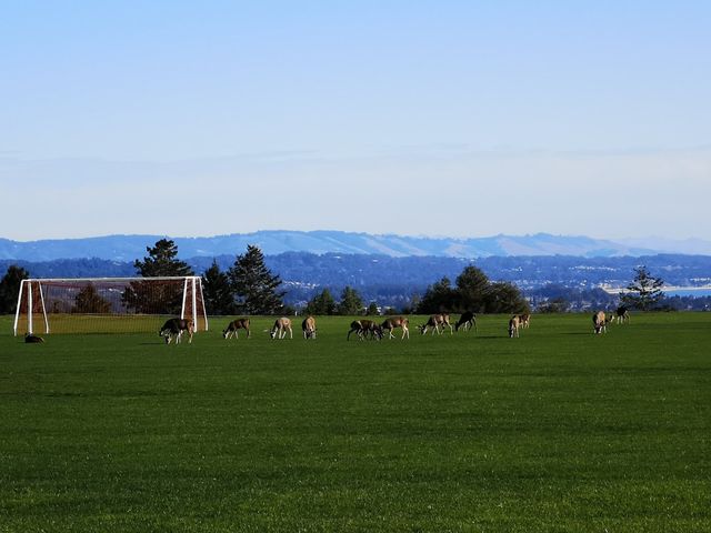 Photo of University of California-Santa Cruz
