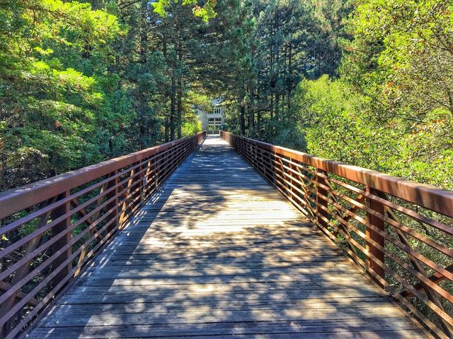 Photo of University of California-Santa Cruz