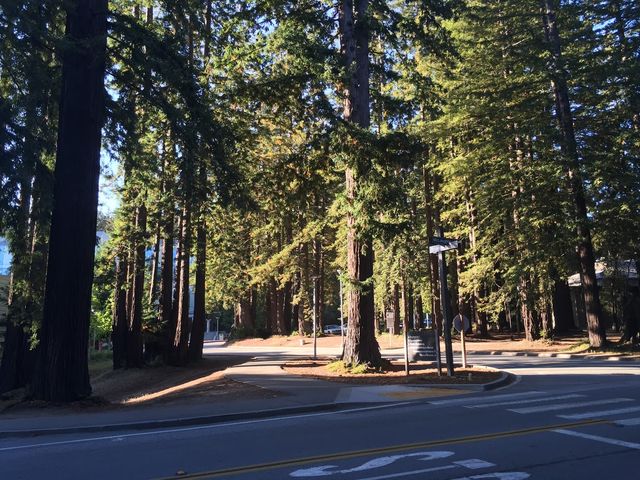 Photo of University of California-Santa Cruz