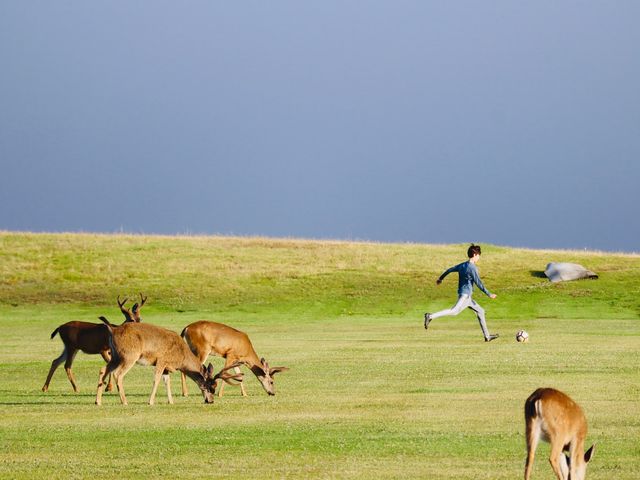 Photo of University of California-Santa Cruz