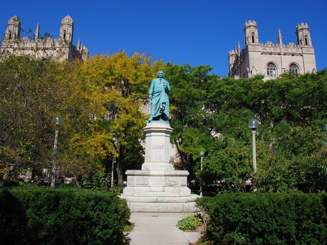 Photo of University of Chicago
