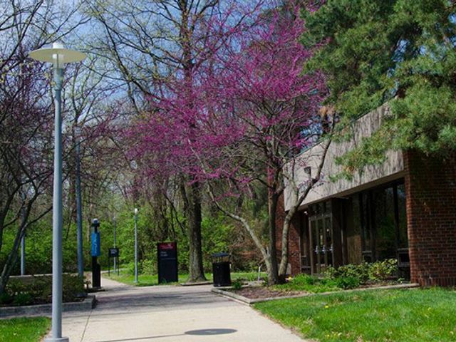 Photo of University of Cincinnati-Blue Ash College