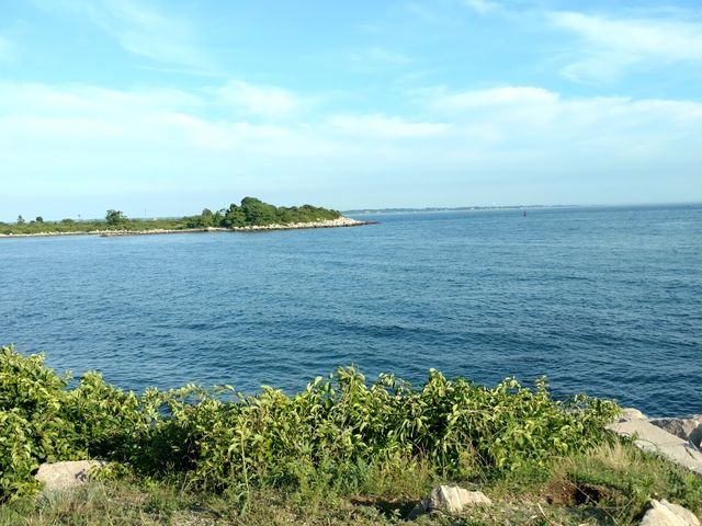 Photo of University of Connecticut-Avery Point