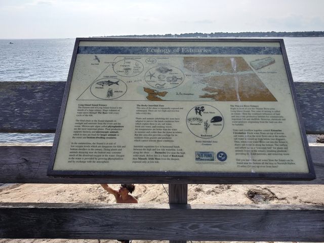 Photo of University of Connecticut-Avery Point