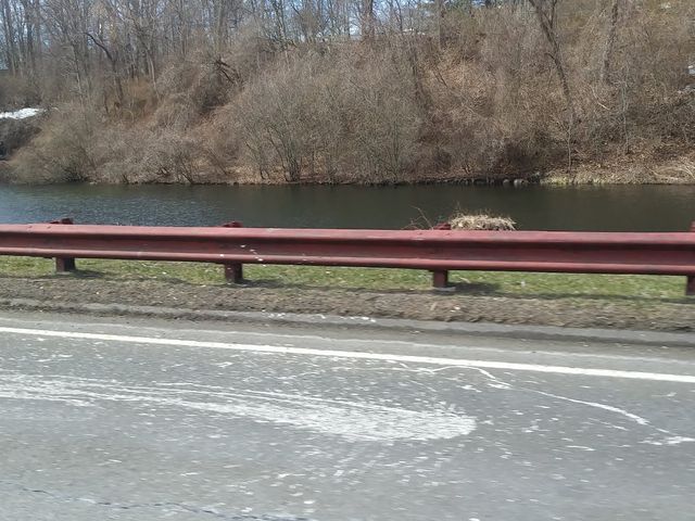 Photo of University of Connecticut-Stamford