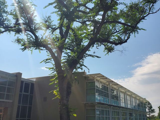 Photo of University of Colorado Colorado Springs