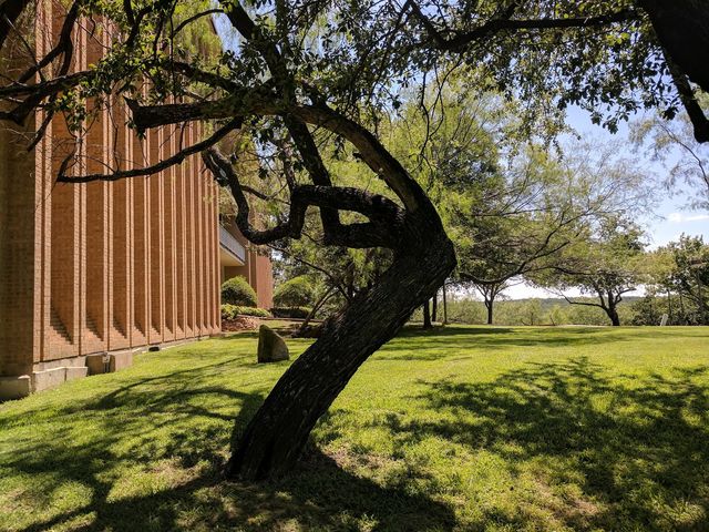 Photo of University of Dallas