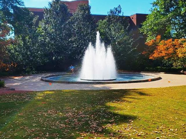 Photo of University of Georgia