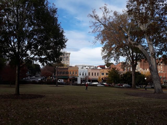 Photo of University of Georgia