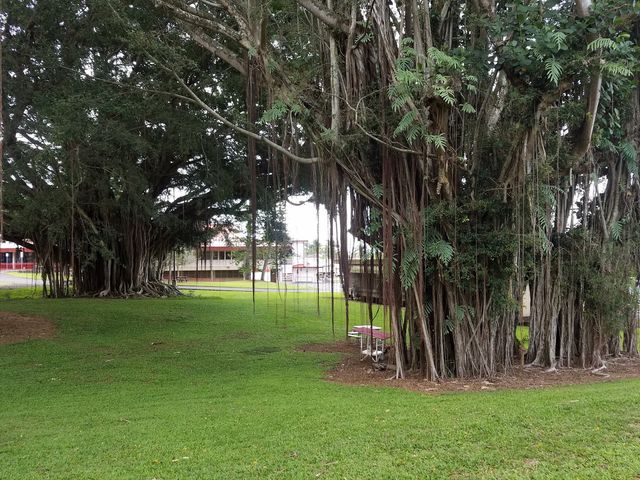 Photo of University of Hawaii at Hilo