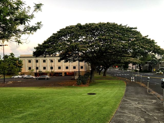 Photo of University of Hawaii at Manoa