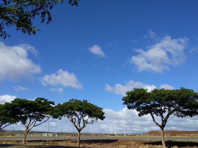 Photo of University of Hawaii-West Oahu