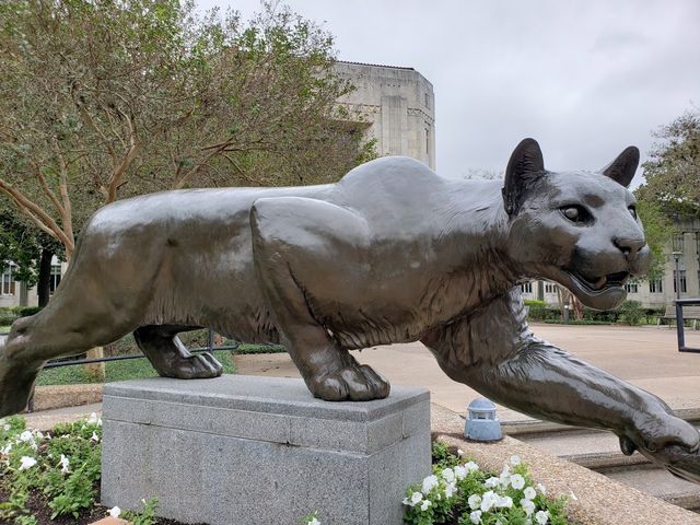 Photo of University of Houston