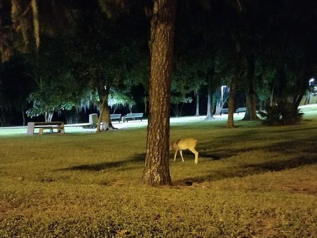 Photo of University of Houston-Clear Lake