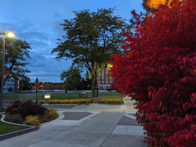 Photo of University of Idaho