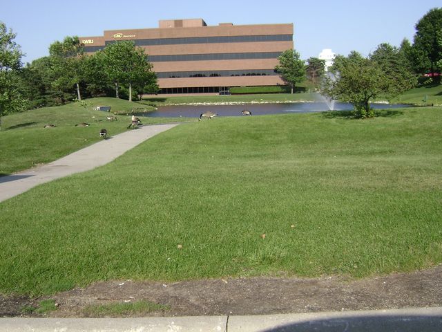 Photo of University of Iowa