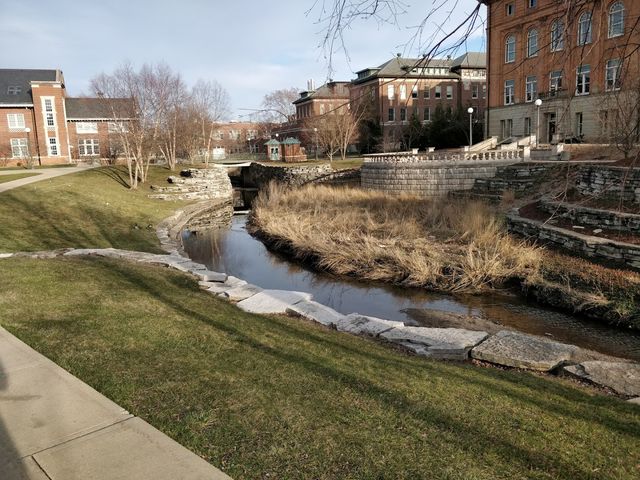 Photo of University of Illinois at Urbana-Champaign