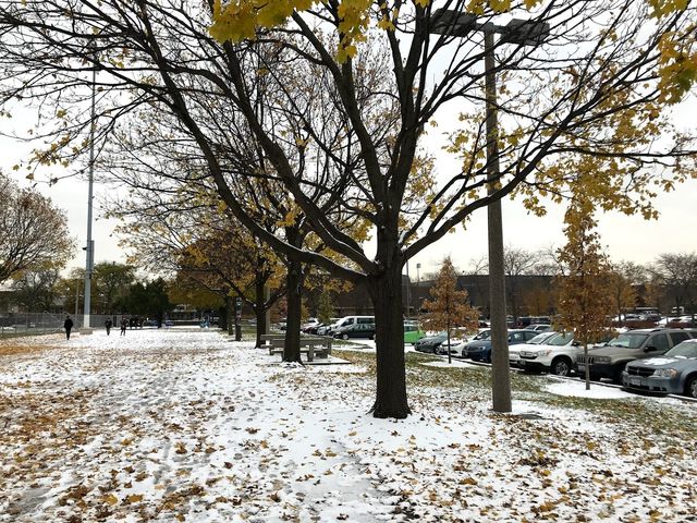 Photo of University of Illinois at Chicago