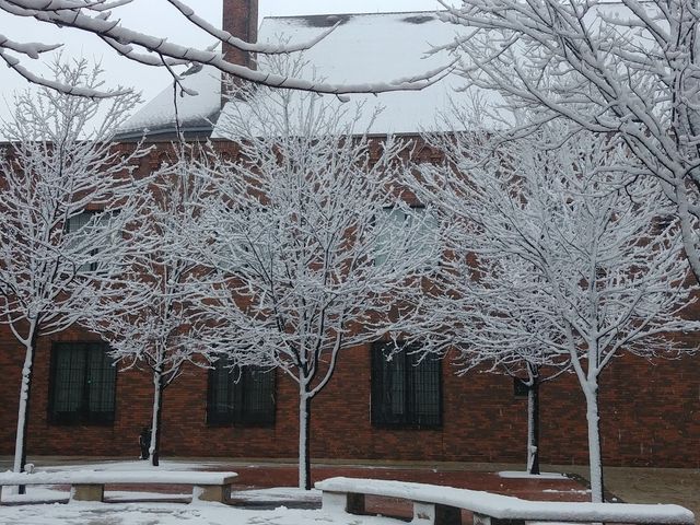 Photo of University of Illinois at Chicago