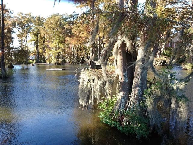 Photo of University of Louisiana-System Administration