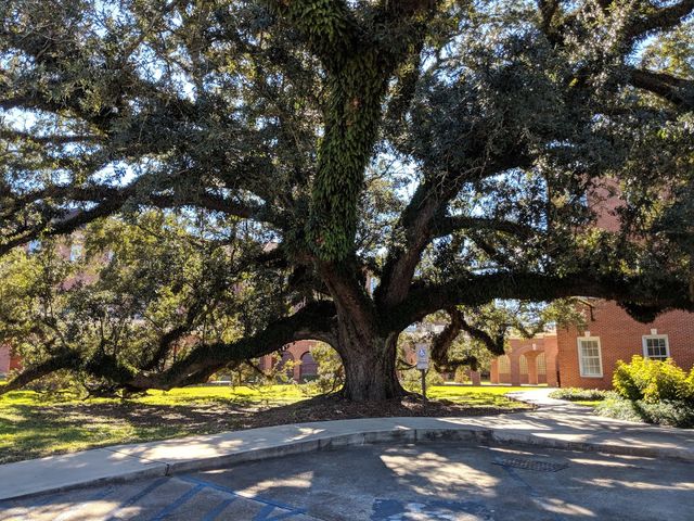 Photo of University of Louisiana-System Administration