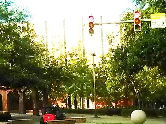 Photo of University of Louisiana-System Administration