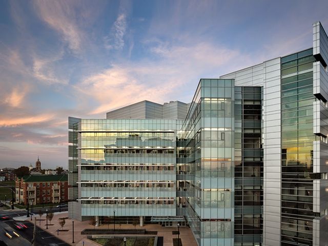 Photo of University of Louisville