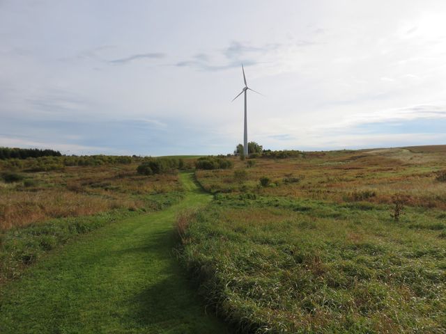 Photo of University of Maine at Presque Isle