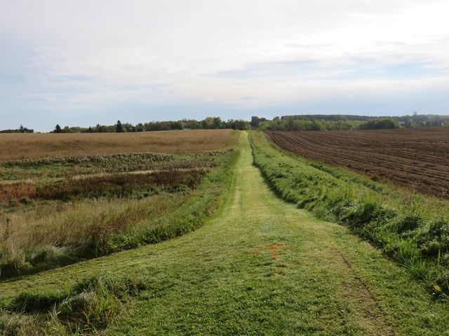 Photo of University of Maine at Presque Isle