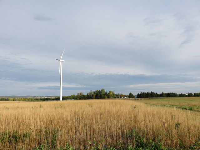 Photo of University of Maine at Presque Isle