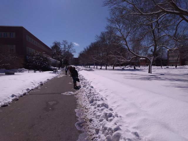Photo of University of Maine-System Central Office