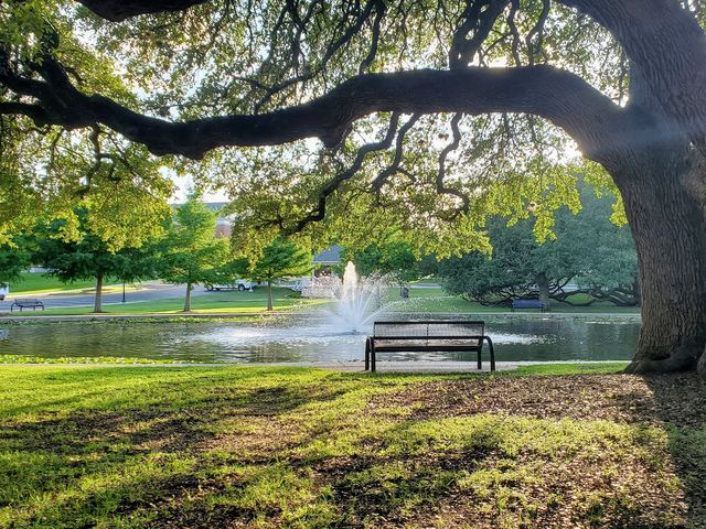 Photo of University of Mary Hardin-Baylor