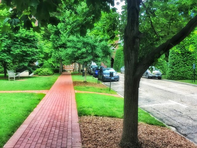 Photo of University of Mary Washington