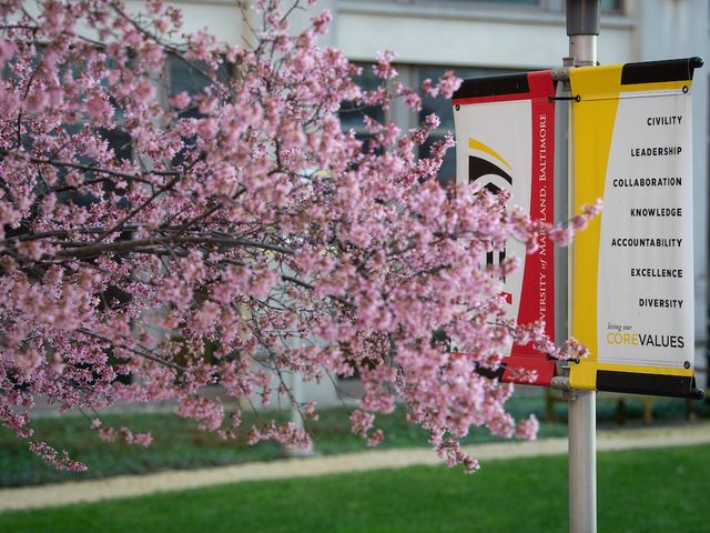 Photo of University of Maryland, Baltimore
