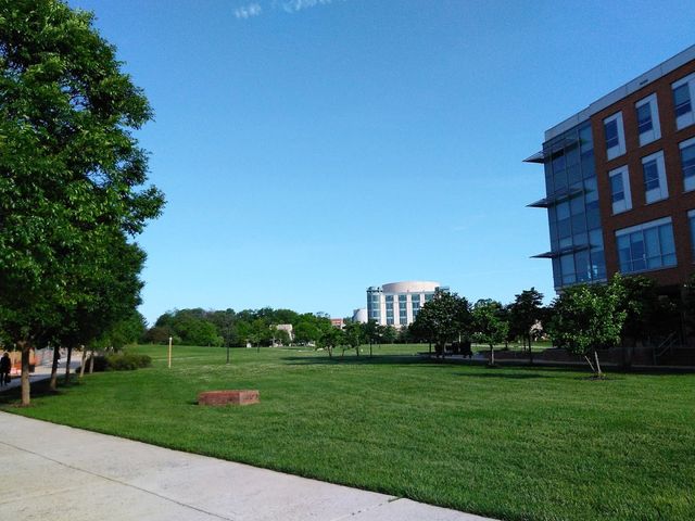 Photo of University of Maryland-Baltimore County