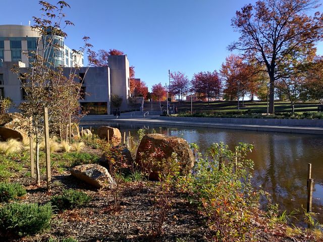 Photo of University of Maryland-Baltimore County