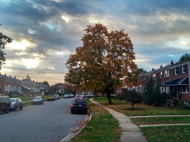Photo of University of Maryland-Baltimore County