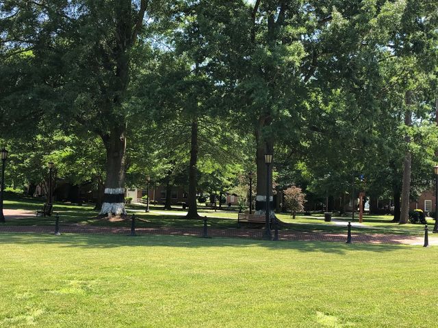 Photo of University of Maryland Eastern Shore