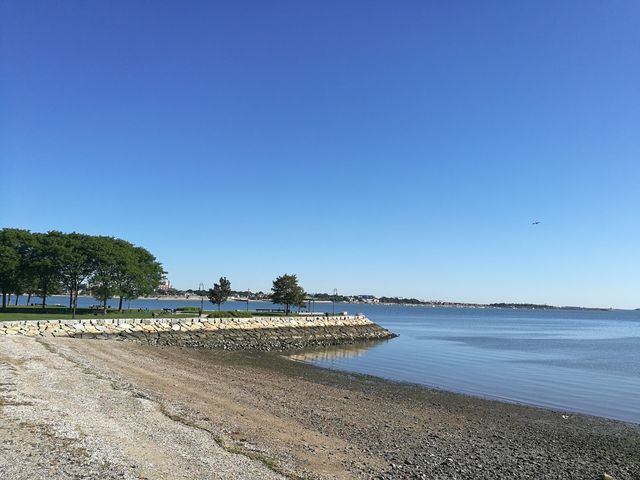 Photo of University of Massachusetts-Boston