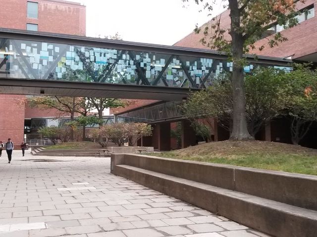 Photo of University of Massachusetts-Boston