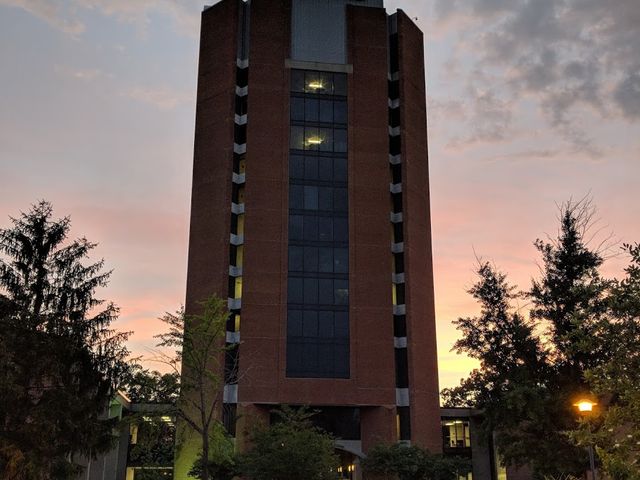 Photo of University of Memphis