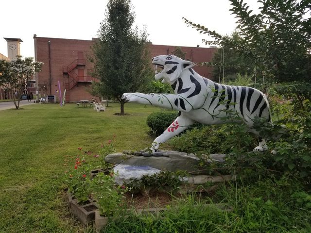 Photo of University of Memphis