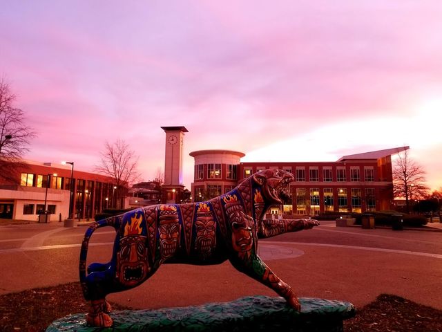 Photo of University of Memphis