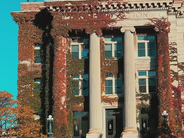 Photo of University of Minnesota-Twin Cities
