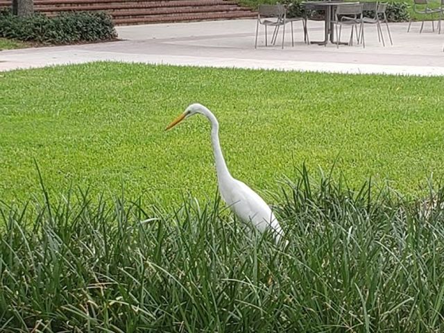 Photo of University of Miami