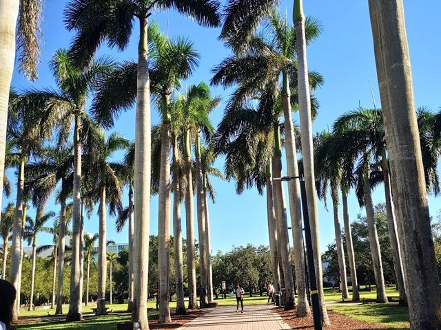 Photo of University of Miami
