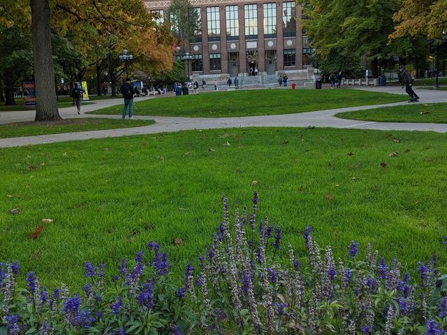 Photo of University of Michigan-Ann Arbor