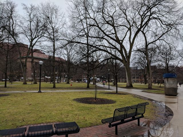 Photo of University of Michigan-Ann Arbor
