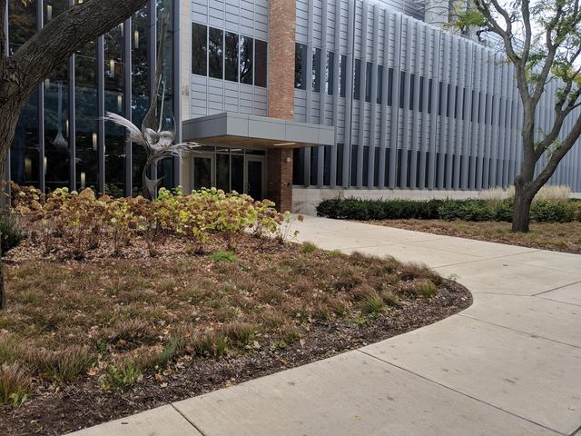 Photo of University of Michigan-Dearborn