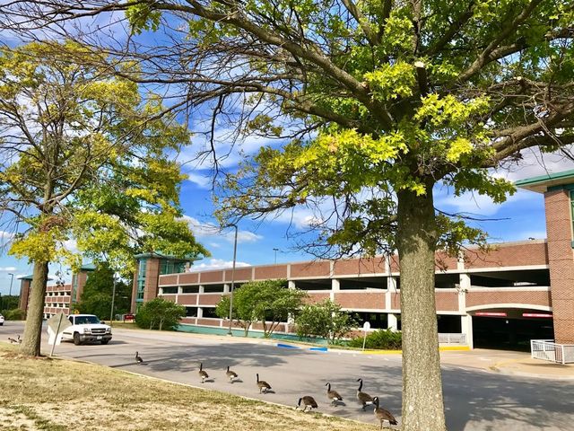 Photo of University of Missouri-St Louis